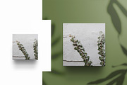 SET of 4 SQUARE COASTERS, a Product Mockup by Moonlight Creative (Thumbnail 6 of 9)