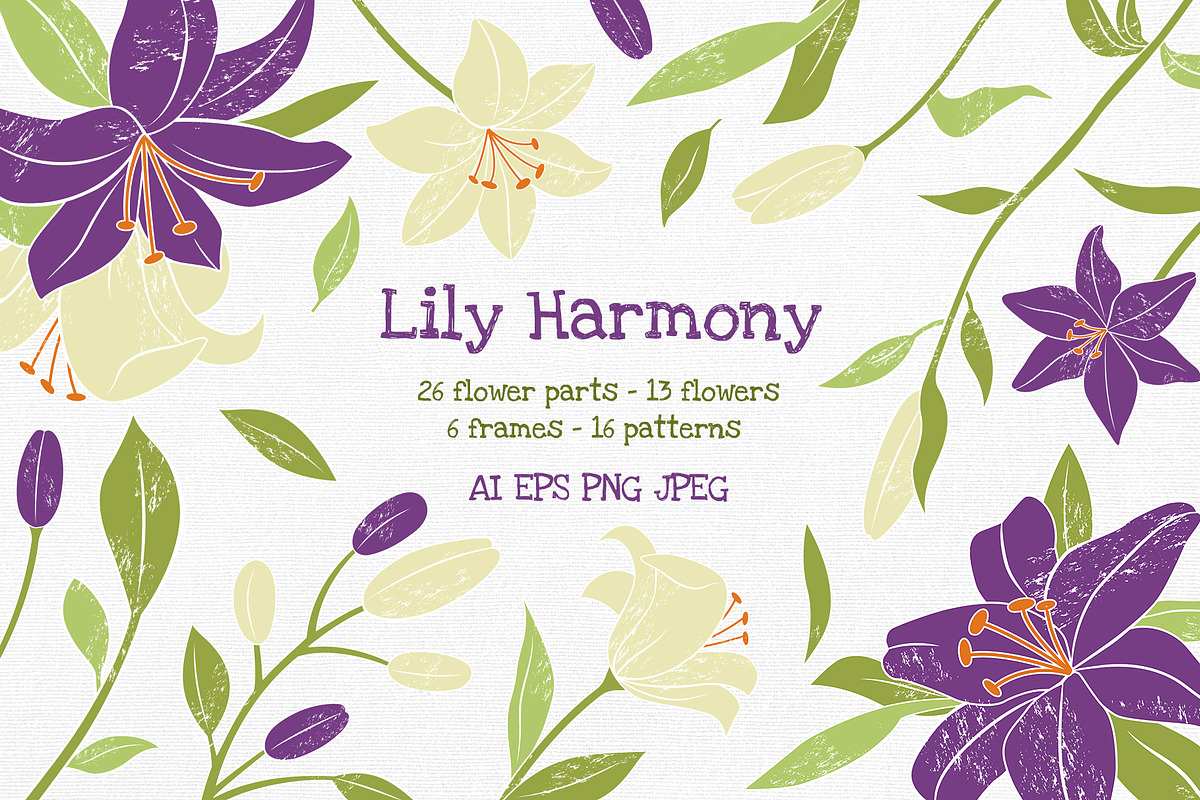 Lily Flower Vector Clipart, an Illustration by Hanna's ArtLab (Photo 1 of 8)
