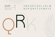 Quint Extended Font, a Sans Serif Font by Wild Ones (Thumbnail 2 of 10)