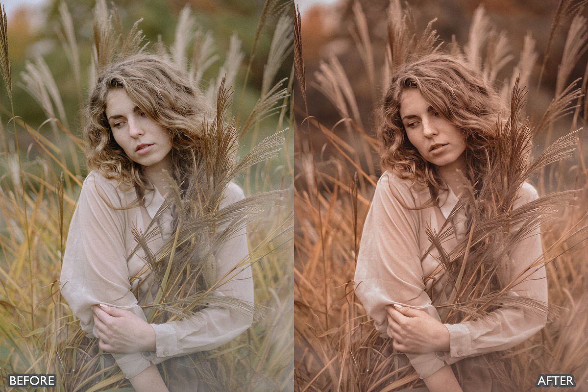 Moody Brown Lightroom Presets, a Preset Add-On by AAA Presets (Photo 7 of 22)