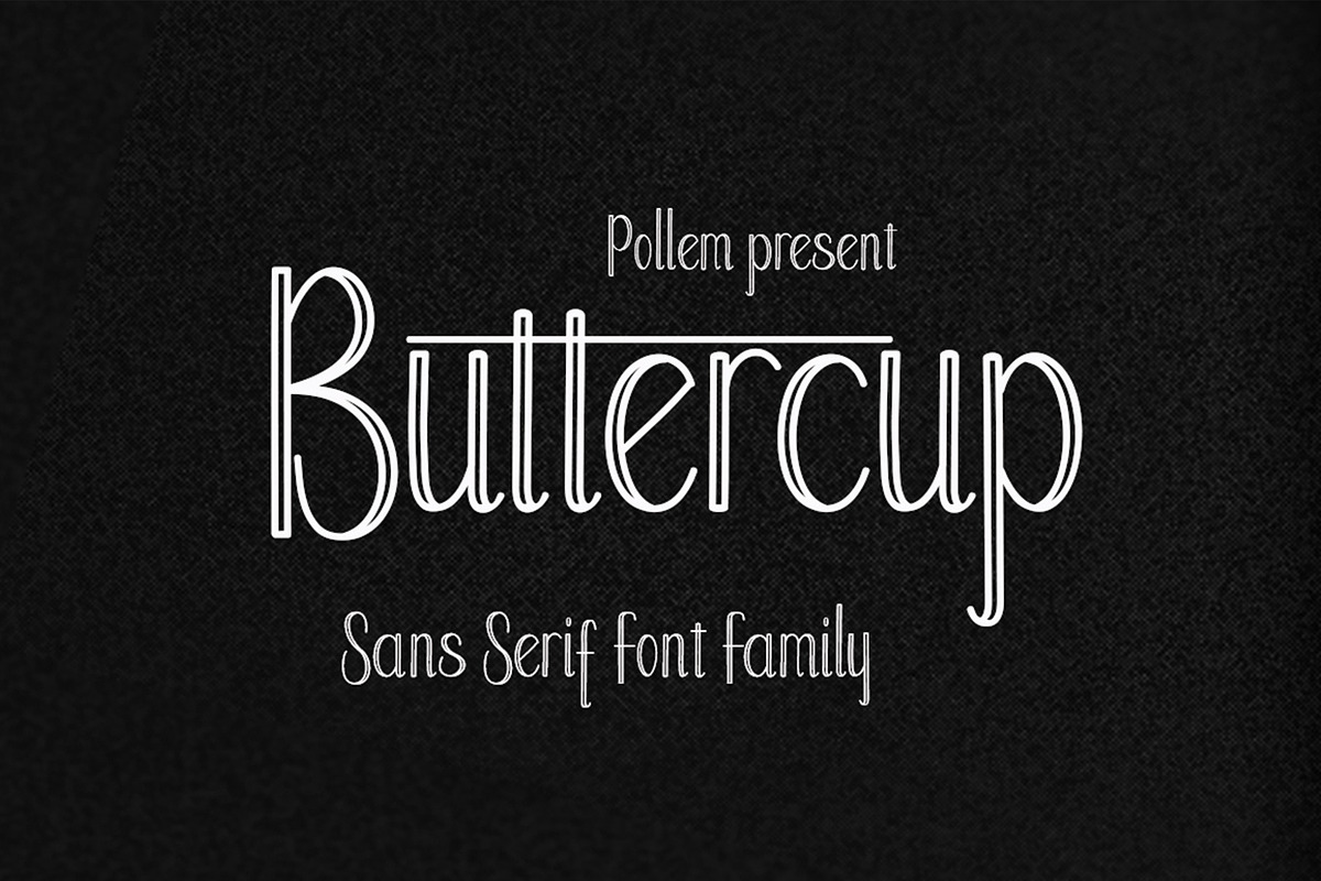Buttercup, a Sans Serif Font by PollemSt (Photo 1 of 7)