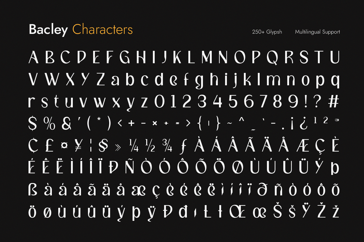 Bacley - Modern Elegant Sans, a Sans Serif Font by Pandeka Studio (Photo 9 of 9)