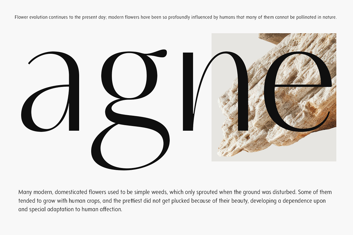 Neue Mylon - 21 Fonts, a Sans Serif Font by Nasir Udin (Photo 7 of 14)