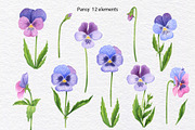 Pansy Watercolor Hand drawn set, a Decorative Illustration by KathrineWatercolor (Thumbnail 2 of 9)