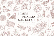 Spring Flowers Collection, an Illustration by adehoidar (Thumbnail 1 of 9)