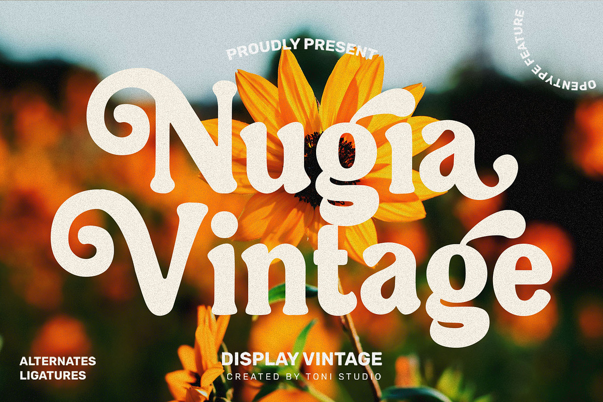 NugiaVintage, a Serif Font by ToniStudio (Photo 1 of 10)