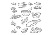 Set of Spices. Engraving, a Food Illustration by MoreVector (Thumbnail 3 of 3)