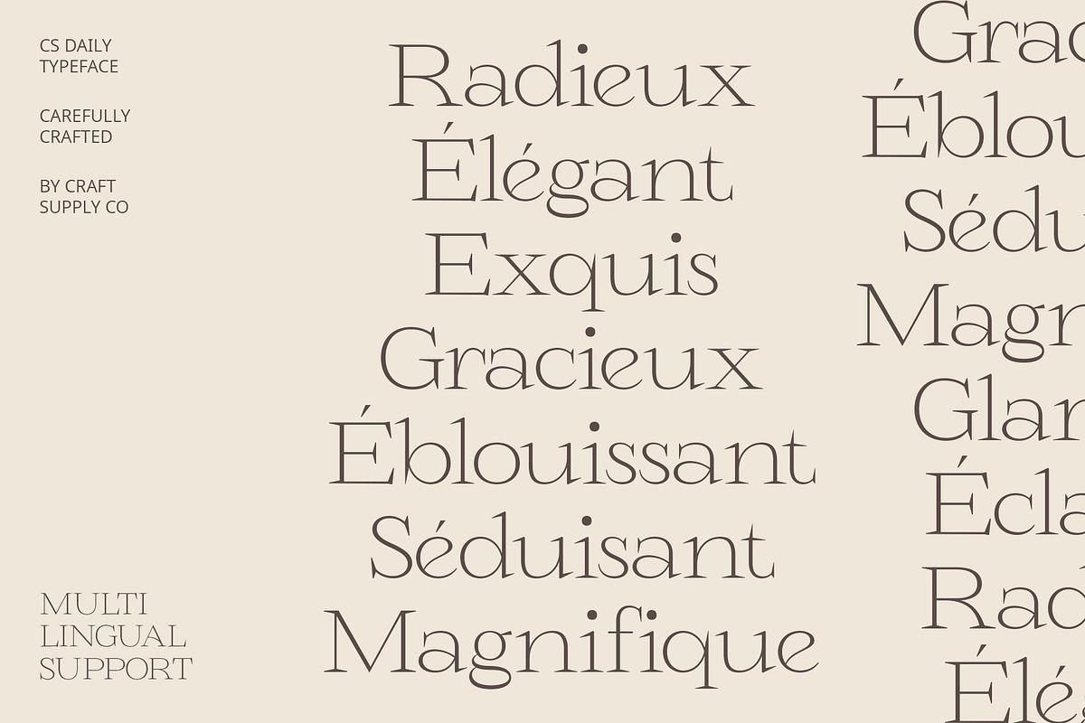 CS Daily – Serif Font, a Serif Font by Craft Supply Co. (Photo 4 of 8)
