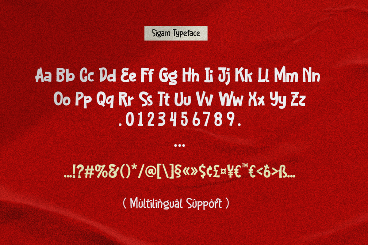 Sigam - Casual Handwriting Font, a Handwritten Font by Grontype (Photo 6 of 7)