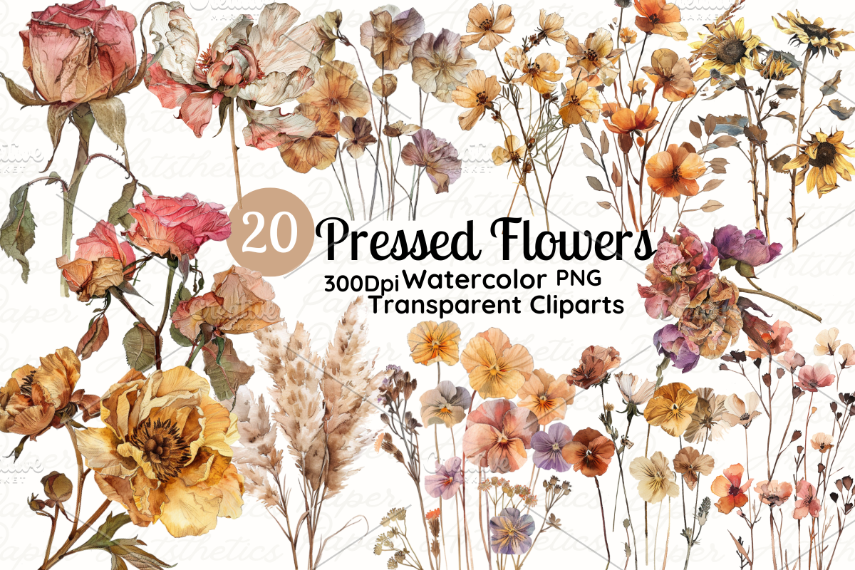 Dried Pressed Flowers Illustration, a Decorative Illustration by Paper Artsthetics (Photo 1 of 4)