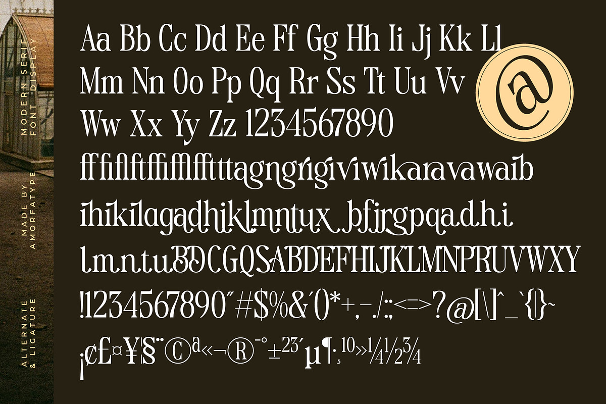 Magice Berries A New Modern Serif, a Serif Font by AmorfaType (Photo 10 of 10)