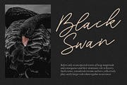 Blackswan - Monoline Signature Font, a Script Font by Letterative Studio (Thumbnail 5 of 7)