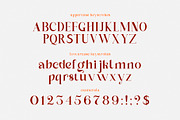 Dinah Glamour / Regular Font, a Serif Font by Anastasia Cuza (Thumbnail 13 of 15)