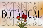 Mexa - Display Serif, a Serif Font by Nirmana Visual (Thumbnail 11 of 13)