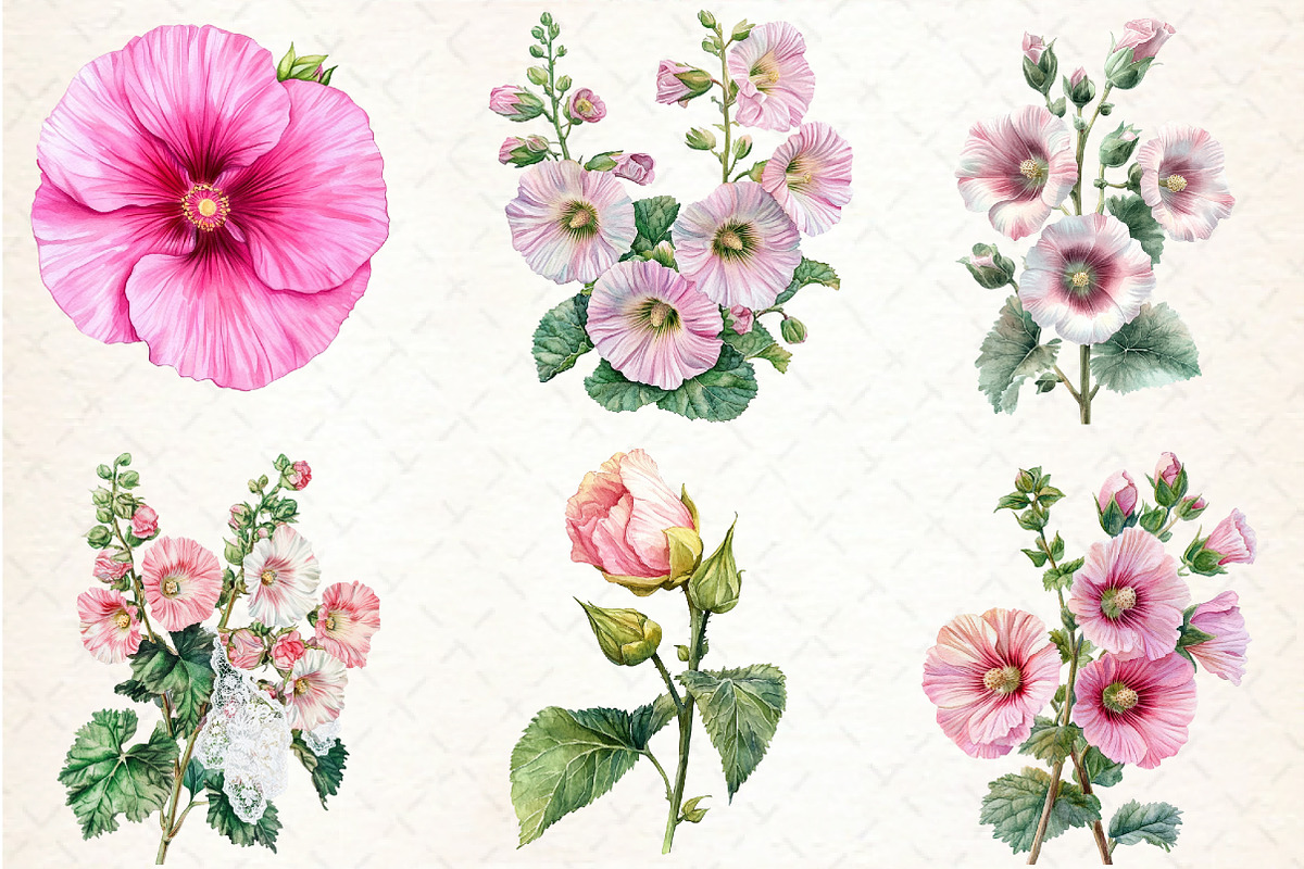 Watercolor Hollyhock Clipart, an Illustration by Libby Wishes (Photo 6 of 12)