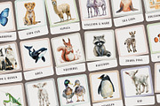 Animals Montessori Cards Bundle, an Education Illustration by Pix Cafe (Thumbnail 6 of 12)