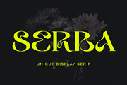 Serba, a Serif Font by Sealoung (Thumbnail 1 of 11)