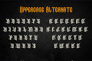 Elaxors - Classic Blackletter Font, a Blackletter Font by Dhabee (Thumbnail 10 of 16)
