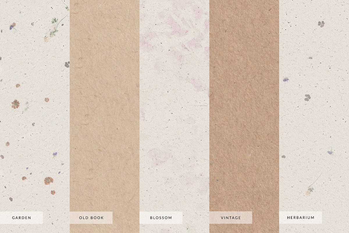 Vintage Paper Textures, a Texture Graphic by May Motif (Photo 8 of 16)