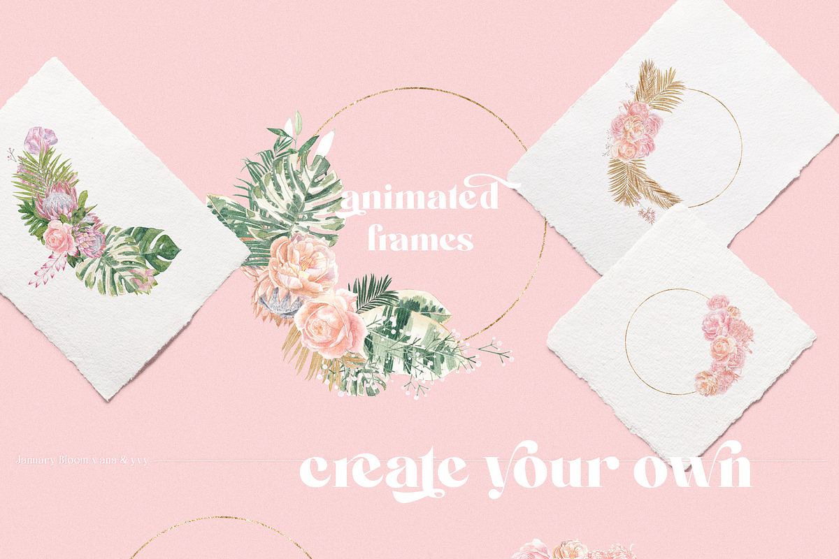 ANIMATED Watercolor Tropical & Rose, an Illustration by January Bloom (Photo 10 of 11)