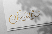 Velocity Romantica Calligraphy Font, a Script Font by Denustudios (Thumbnail 4 of 12)
