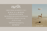 arasik _ modern serif ligatures, a Serif Font by Penatic Studio (Thumbnail 8 of 10)