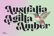 Segina - Decorative Serif, a Serif Font by creativemedialab (Thumbnail 2 of 12)