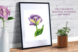 Vector Set Of Violet Tulips