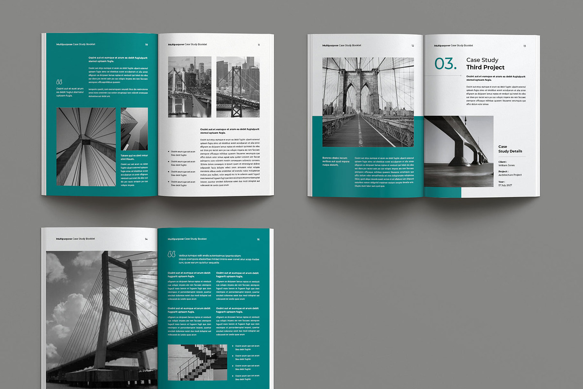 Case Study Booklet Template, a Brochure Template by Seeing-art (Photo 11 of 11)