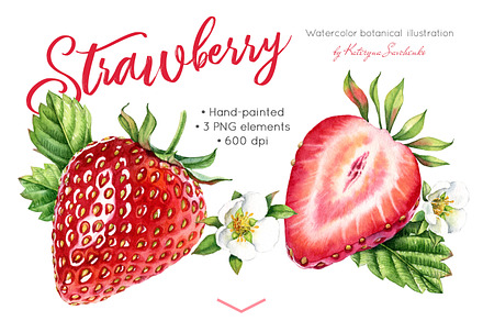 Watercolor Strawberry: whole + half