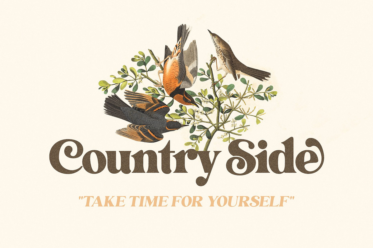 The Modern Typography Bundle, a Serif Font by Ivan Rosenberg (Photo 21 of 58)