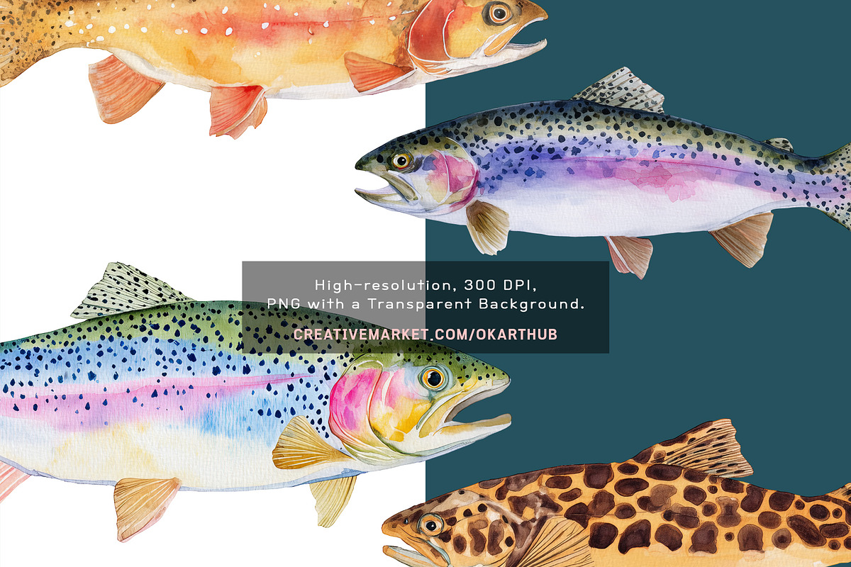 Watercolor Trout Fish Clipart, a Decorative Illustration by OKArtHub (Photo 8 of 8)
