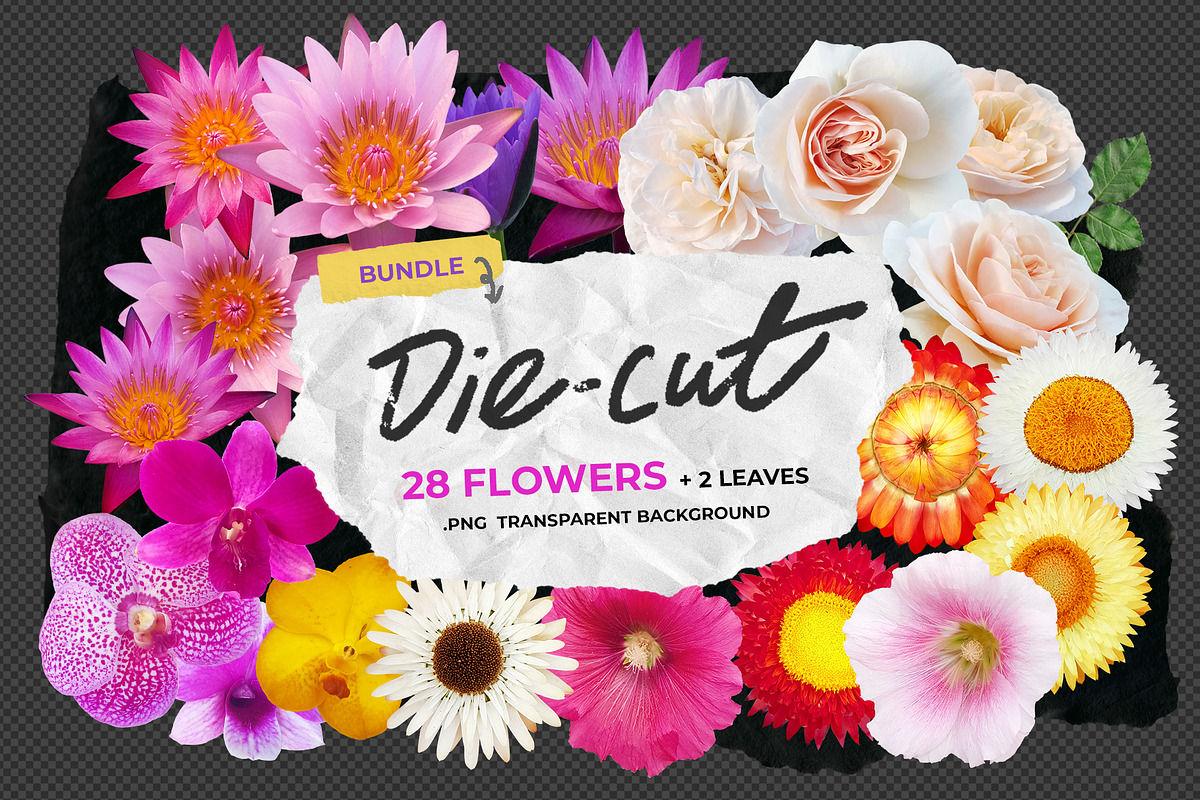 Die-cut Real Flowers Set 2 Bundle, a Nature Photo by aniunova (Photo 1 of 4)
