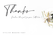 Collection - NEW STYLE, a Script Font by alphArtype (Thumbnail 16 of 16)