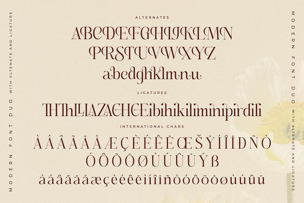 Adoretta Holland Font Duo, a Serif Font by Storytype Studio (Photo 12 of 15)