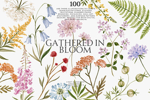 a wildflower meadow clipart set, a Decorative Illustration by Patishop Art