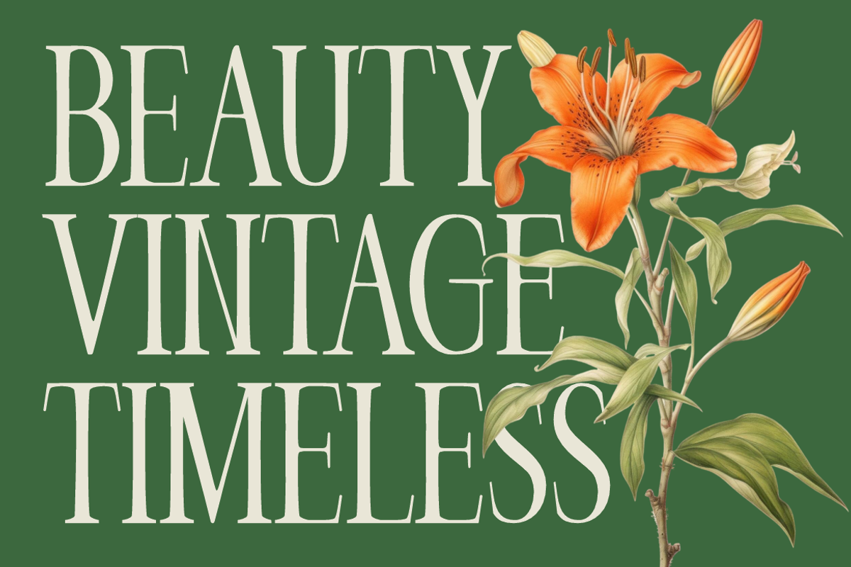 Veloria Palace Classic Serif Font, a Font by PutraCetol Studio (Photo 2 of 6)