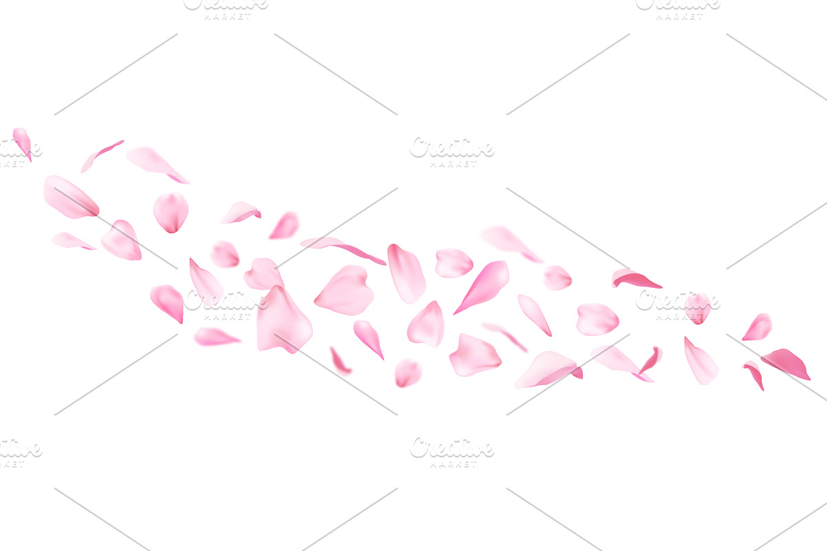 Flying pink sakura petals scattered, an Object Illustration by art PVP - market