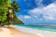 Sunny tropical beach containing beach, tropical, and palm, a Nature Photo by Lucky Photographer (Thumbnail 3 of 3)