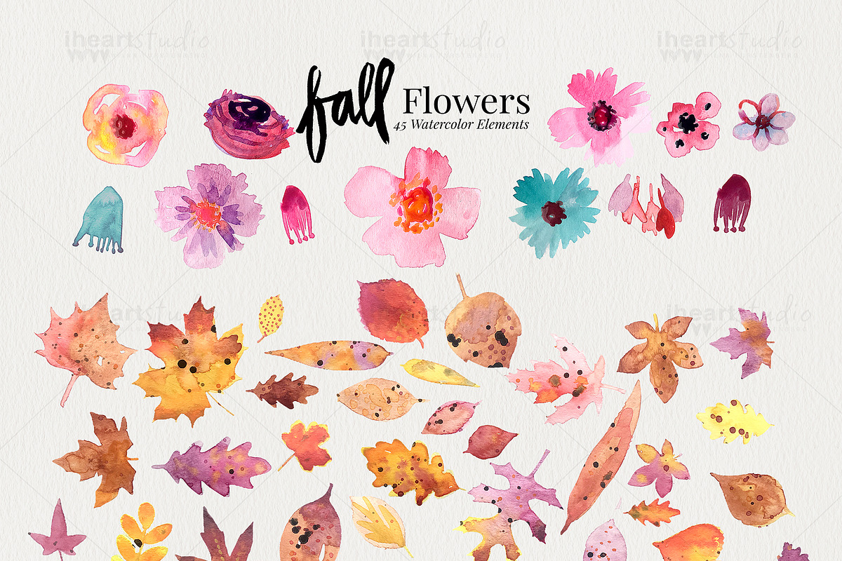Fall Flower Watercolors, an Illustration by iHeartStudio (Photo 3 of 3)