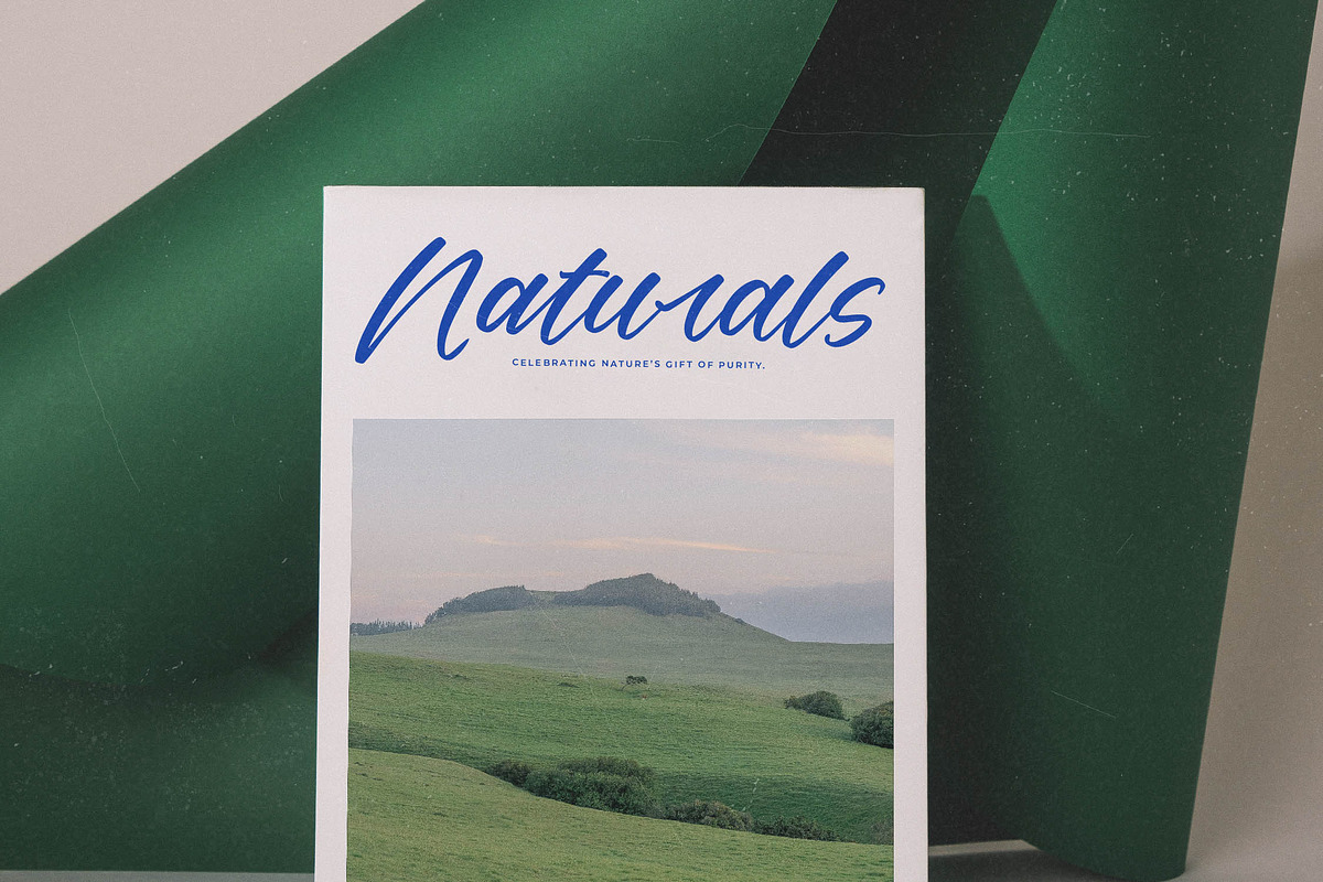 Delighta Modern Handwritten Font, a Script Font by stylishtype.co (Photo 9 of 15)