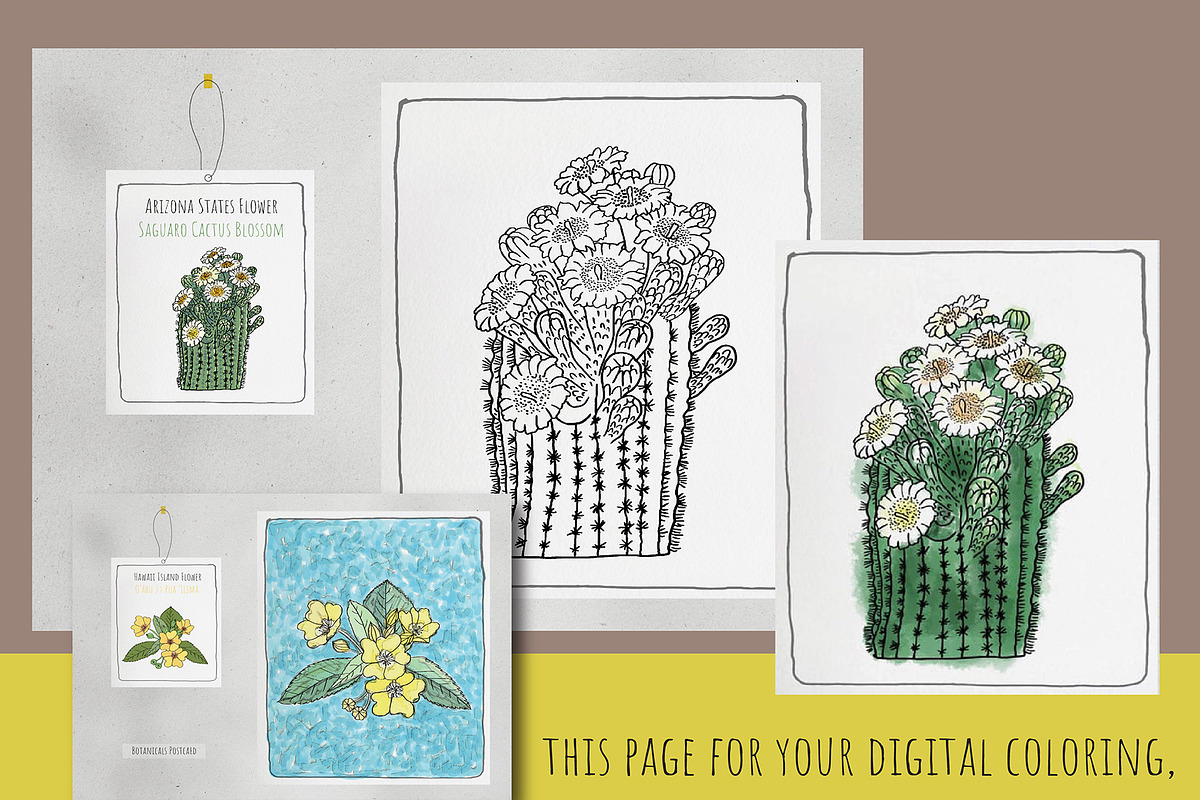 50 State Flowers for Coloring books, a Graphic by Hanatist Studio (Photo 8 of 8)
