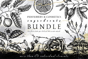 Floral Aromatic Vector Illustrations, an Object Graphic by Yevheniia (Thumbnail 1 of 7)