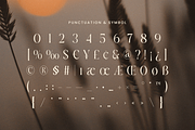 Boutique - Cinematic Luxury Font, a Serif Font by Sensatype (Thumbnail 11 of 12)