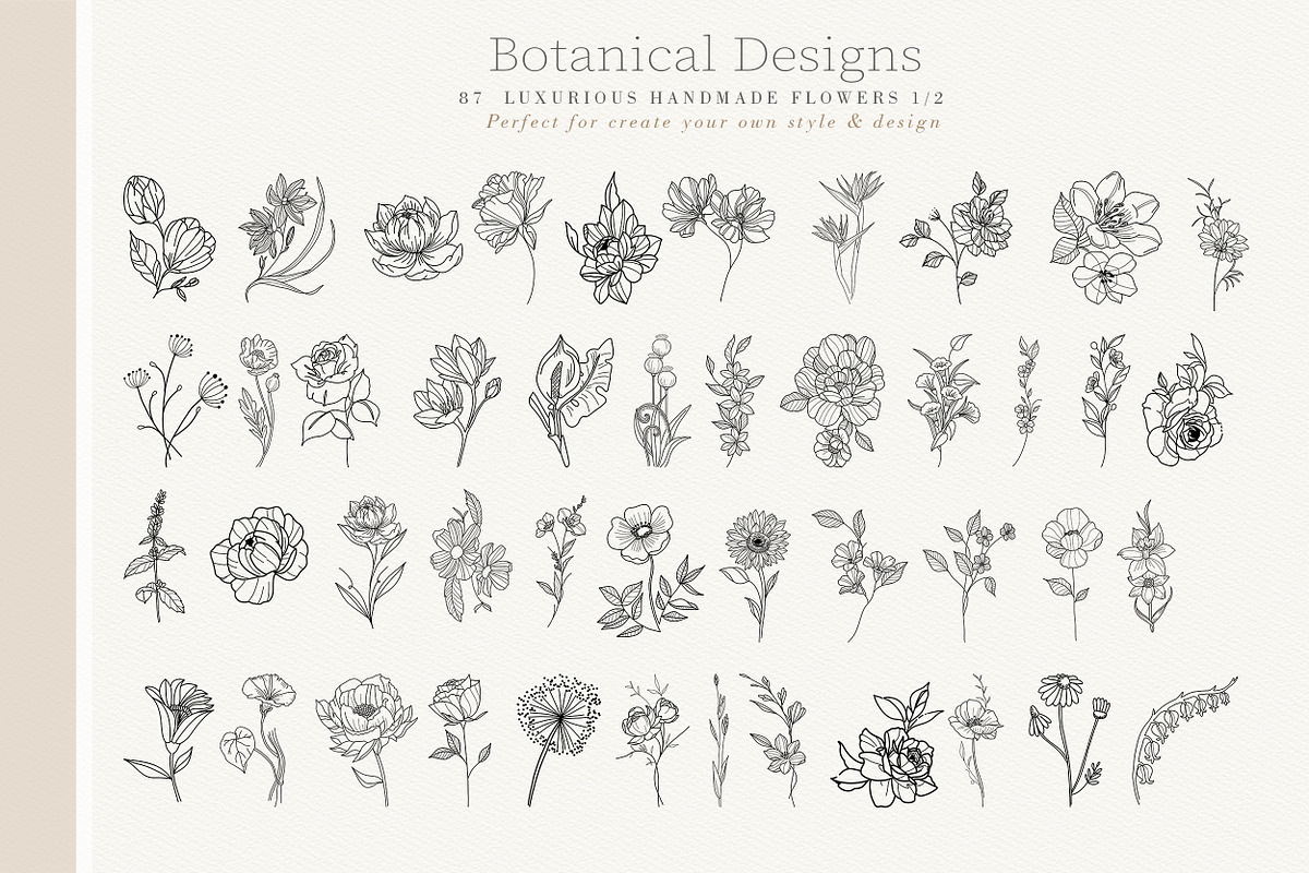Botanical Designs, an Illustration by Luiz da Rolt Grathwohl