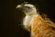 Acrylic oil Painting PS Action, an Action Add-On by INTENTFX (Thumbnail 5 of 20)