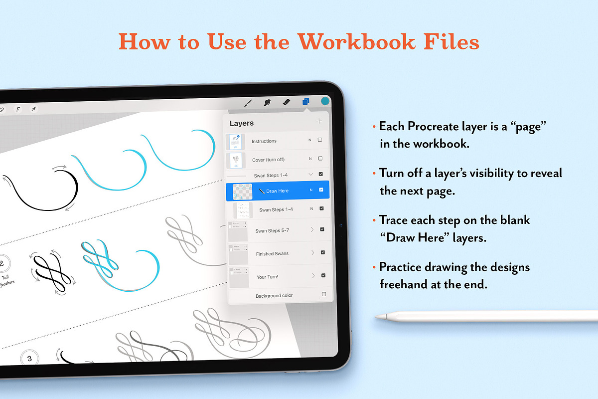 Animal Flourishes Procreate Workbook, an Animal Illustration by Molly Suber Thorpe (Photo 4 of 7)