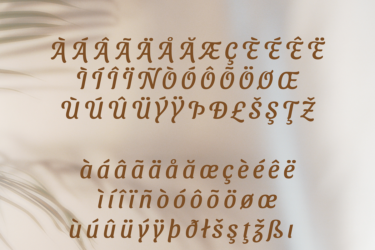 Dariul Sans Font Family, a Sans Serif Font by Creative Foundry (Photo 8 of 8)
