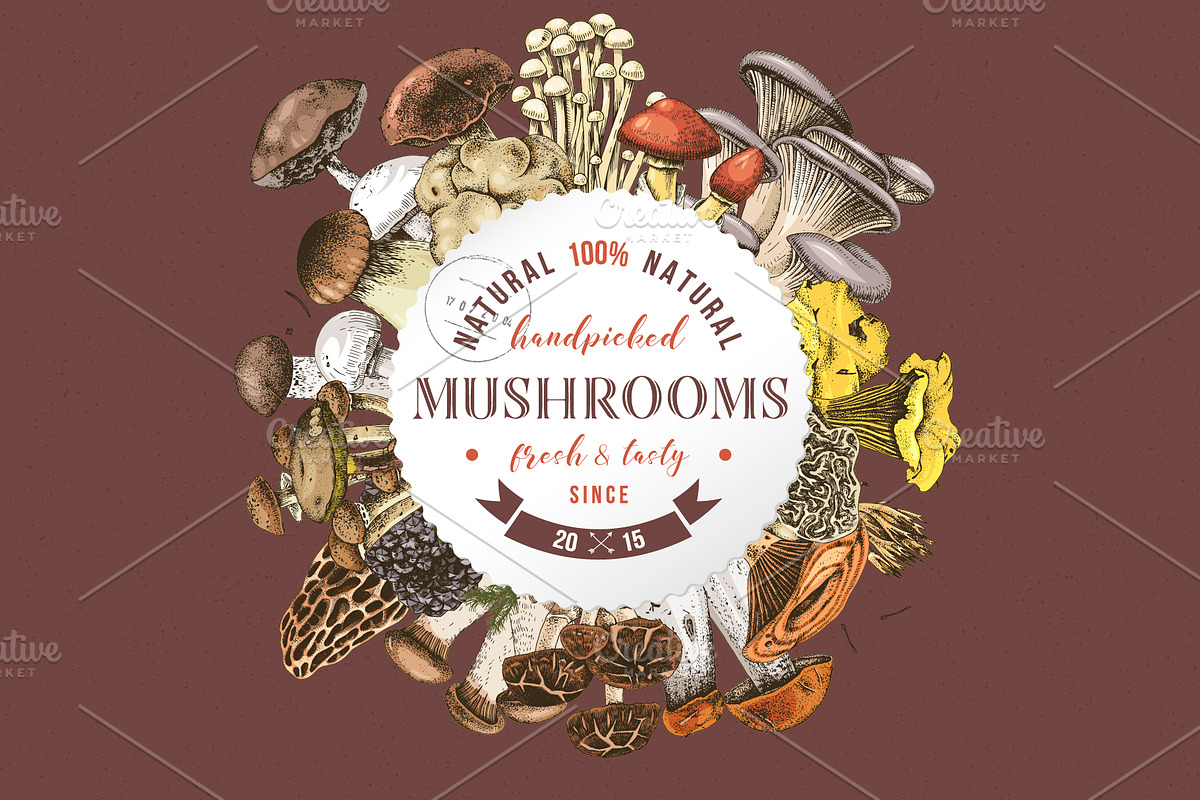 Hand drawn edible mushrooms set, a Food Illustration by handsketched (Photo 8 of 10)