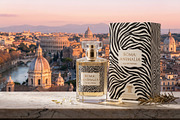 Seamless Zebra Stripe Pattern, a Pattern Graphic by Talip Memis (Thumbnail 8 of 11)